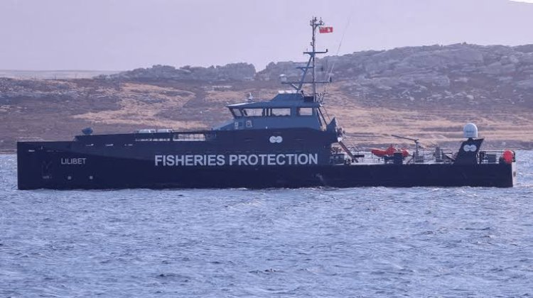 Denunciaron por contrabando a pesqueras con licencias británicas que operan en las Islas Malvinas