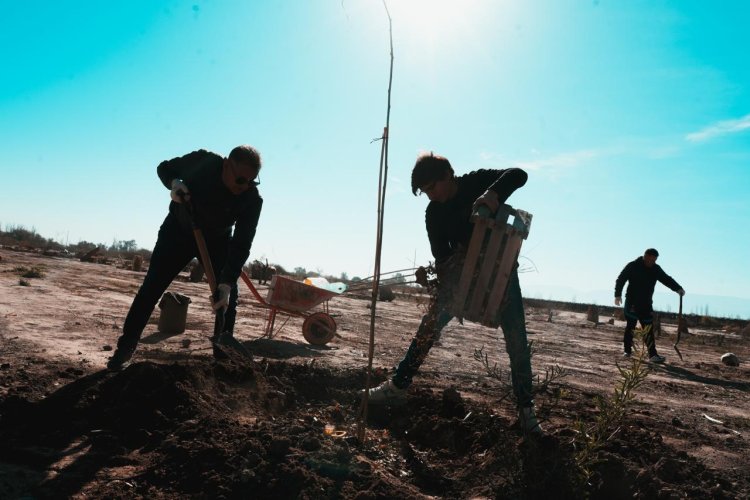 El Mogote será sede de una jornada de voluntariado verde por el Día de la Primavera