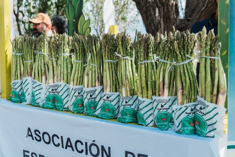 Rawson reunió al sector esparraguero en una jornada técnica clave