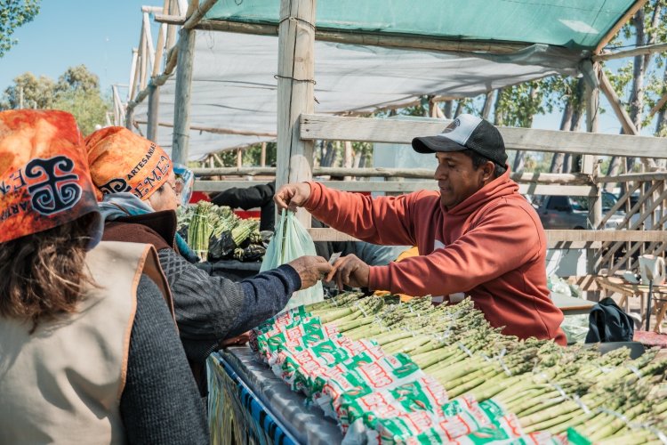 Por el viento Zonda, la Fiesta del Espárrago y el Alcaucil se reprograma para el 4 de octubre
