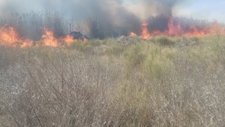 Máxima precaución en Médano de Oro: combaten focos de incendio y piden no encender fuego ante el Zonda