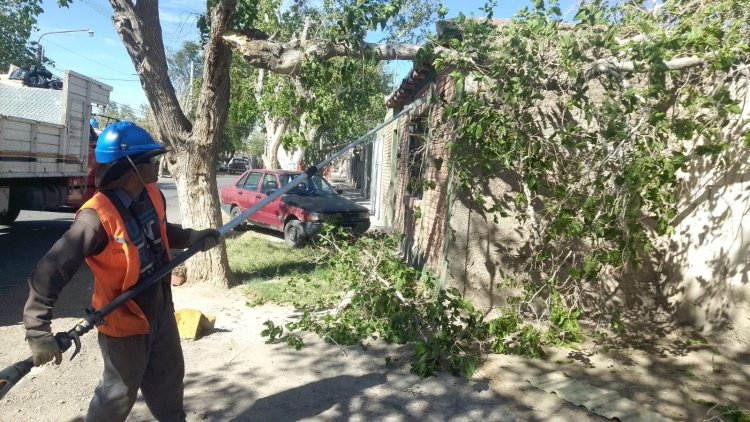 Chimbas desplegó personal de Servicios ante las consecuencias del viento Zonda