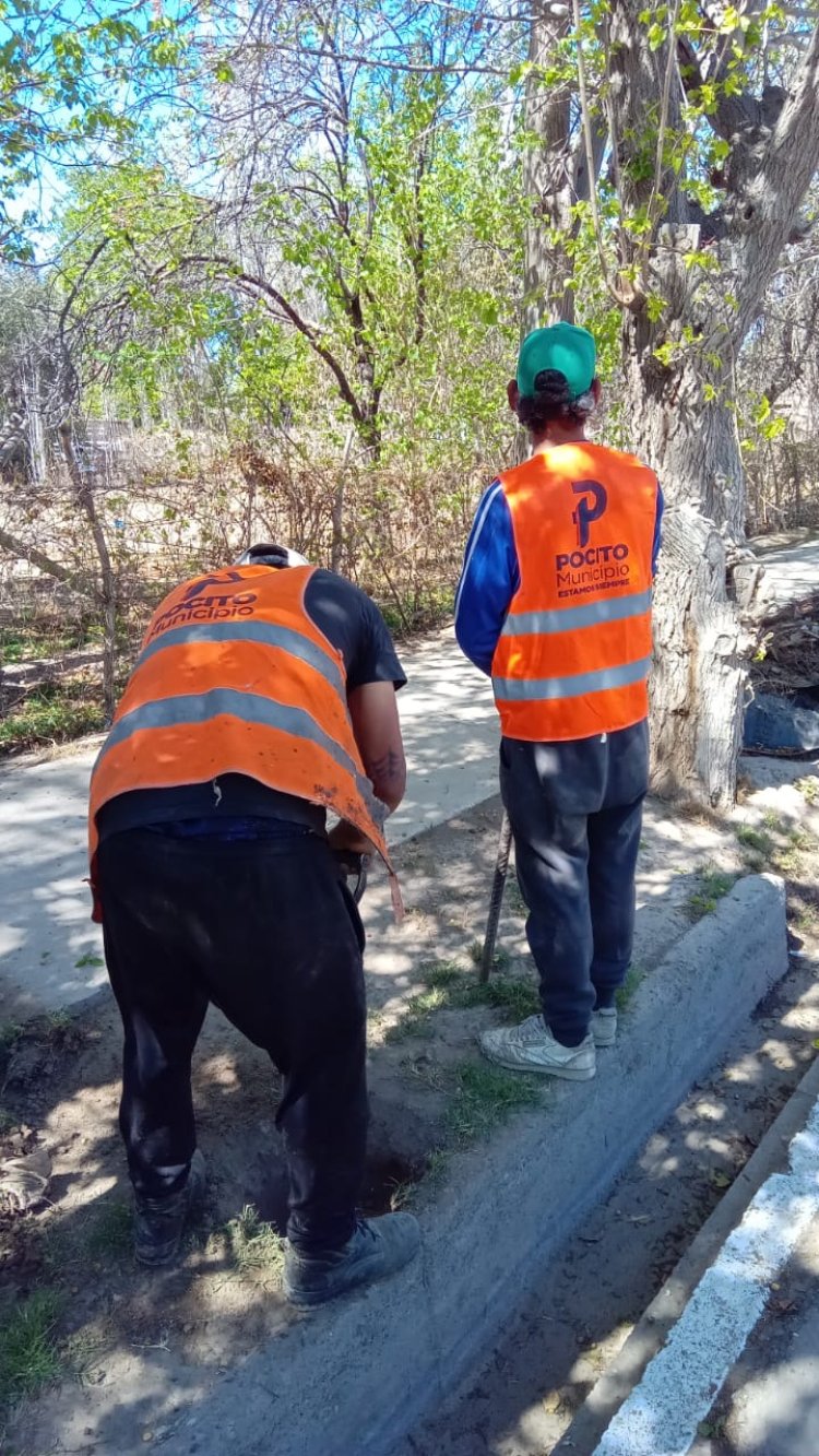 Pocito habilitará las cámaras de registro de infracciones en octubre y suma cartelería vial