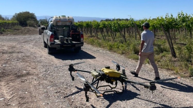 Comienza la entrega de insecticida para el control de Lobesia botrana
