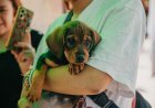 El quirófano de mascotas brindará esterilizaciones gratuitas en Rivadavia