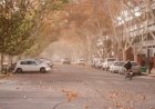 Alerta amarilla por viento Zonda en San Juan