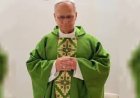 Papa León XIV: celebró una misa y nuevos estudios confirman una “mejora constante”