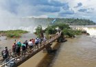 Buscan voluntarios para vivir gratis en Cataratas del Iguazú a cambio de 30 horas de ayuda por semana