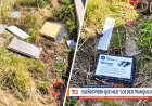 La TV chilena mostró el vandalismo de los isleños en el Cementerio de Darwin en Malvinas