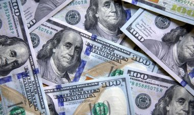 A cuánto llegará el dólar en diciembre según las consultoras del Banco Central y a cuánto estará en 2027