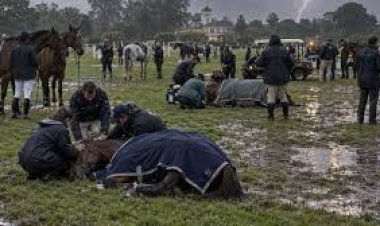 Un rayo mató a cuatro yeguas de polo en el Jockey Club de San Isidro