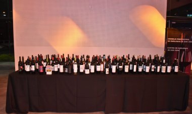 Cinco vinos de cuatro valles ganaron el Gran Oro en el Concurso Nacional Cata San Juan