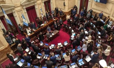 El Senado aprobó en general la reforma de la Ley de Salud Mental, que habilita internaciones involuntarias