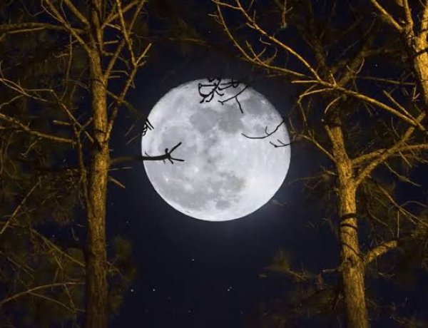 Calendario lunar de noviembre 2026: cuándo es luna llena