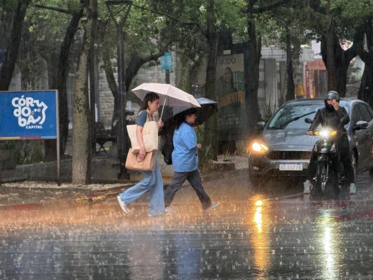 Alertas naranja y amarilla por tormentas, lluvias intensas, vientos y Zonda en 20 provincias