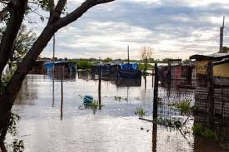 “El Niño podría alcanzar una intensidad sin precedentes”: la advertencia de la argentina que dirige la OMM