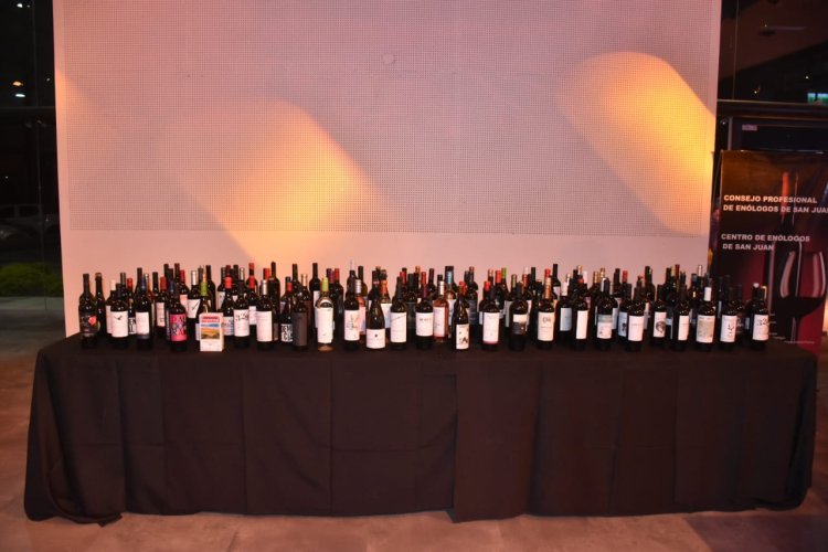 Cinco vinos de cuatro valles ganaron el Gran Oro en el Concurso Nacional Cata San Juan