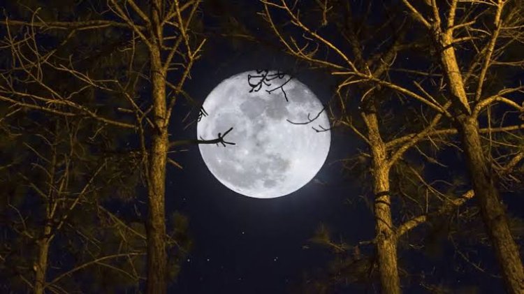 Calendario lunar de noviembre 2026: cuándo es luna llena